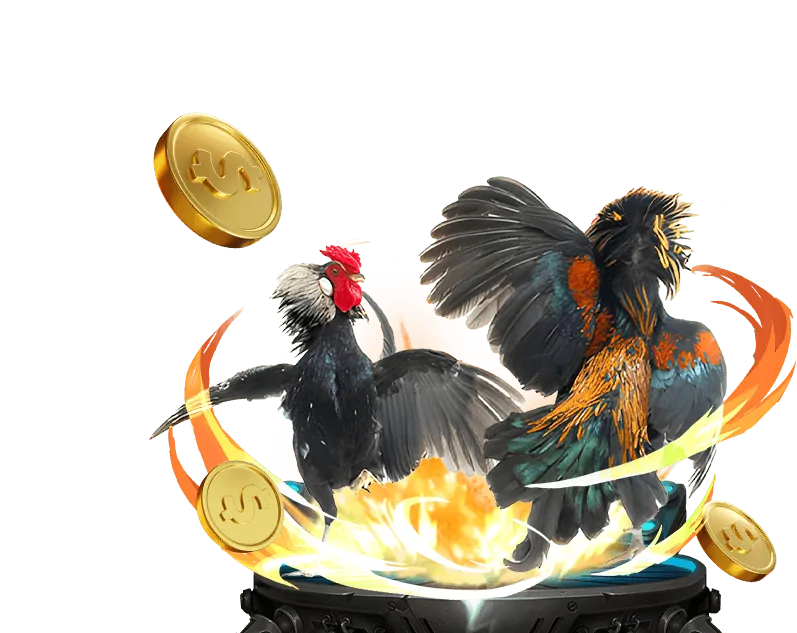 Các loại hình đá gà tại 68Win18